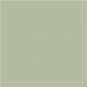 akrylmaling eukalyptus