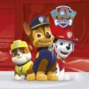 Paw patrol servietter - 20 stk